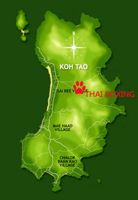 thaiboxing